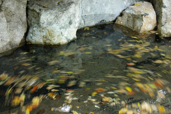 f0145933_2121598.jpg