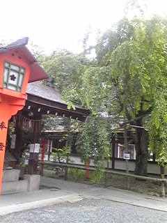 d0098335_2257542.jpg
