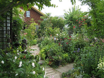 c0195439_23144441.jpg