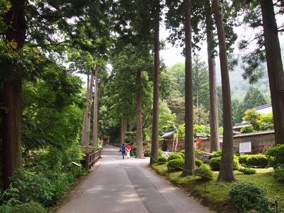 d0079440_2132342.jpg
