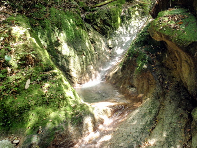 b0168843_16354913.jpg