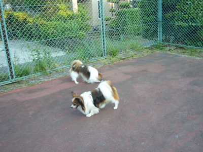 e0100046_19153885.jpg