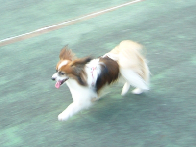 e0100046_1917548.jpg