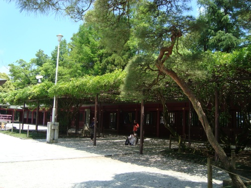 笠間稲荷神社 & 道の市_c0118352_5435589.jpg