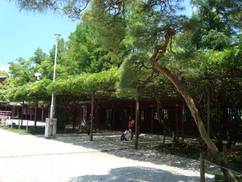 笠間稲荷神社　＆　道の市_c0118352_5435589.jpg