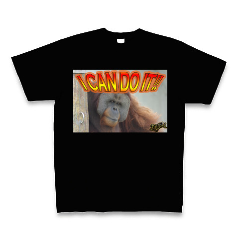 I CAM DO IT! Tシャツ_a0121655_1254518.jpg