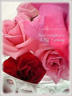 red symphony & NY Forever_b0168457_2143079.jpg