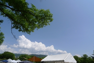 a0135162_20383950.jpg
