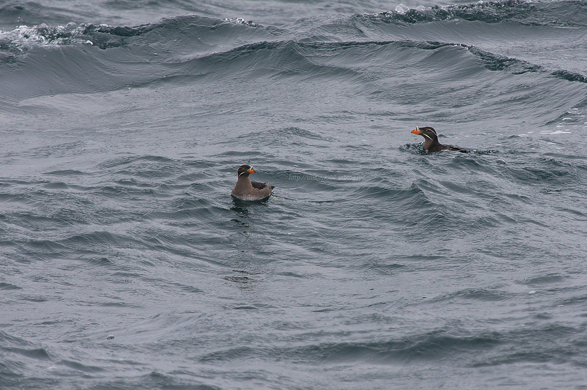 f0145362_18415577.jpg