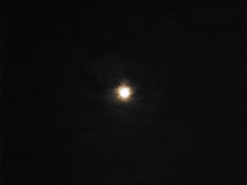 c0048265_14594214.jpg