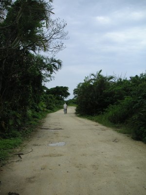 竹富島　L\'ile Taketomi_a0165872_1449428.jpg