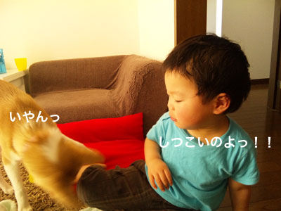 f0238772_77398.jpg
