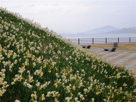 野母崎水仙の里公園(その2)_c0172180_1857033.jpg