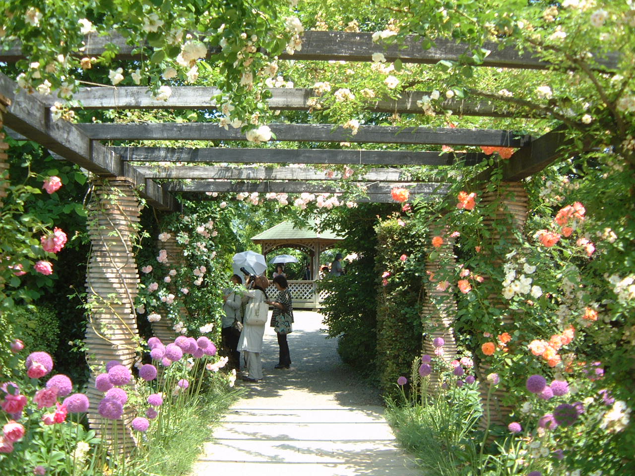 d0158780_15225376.jpg