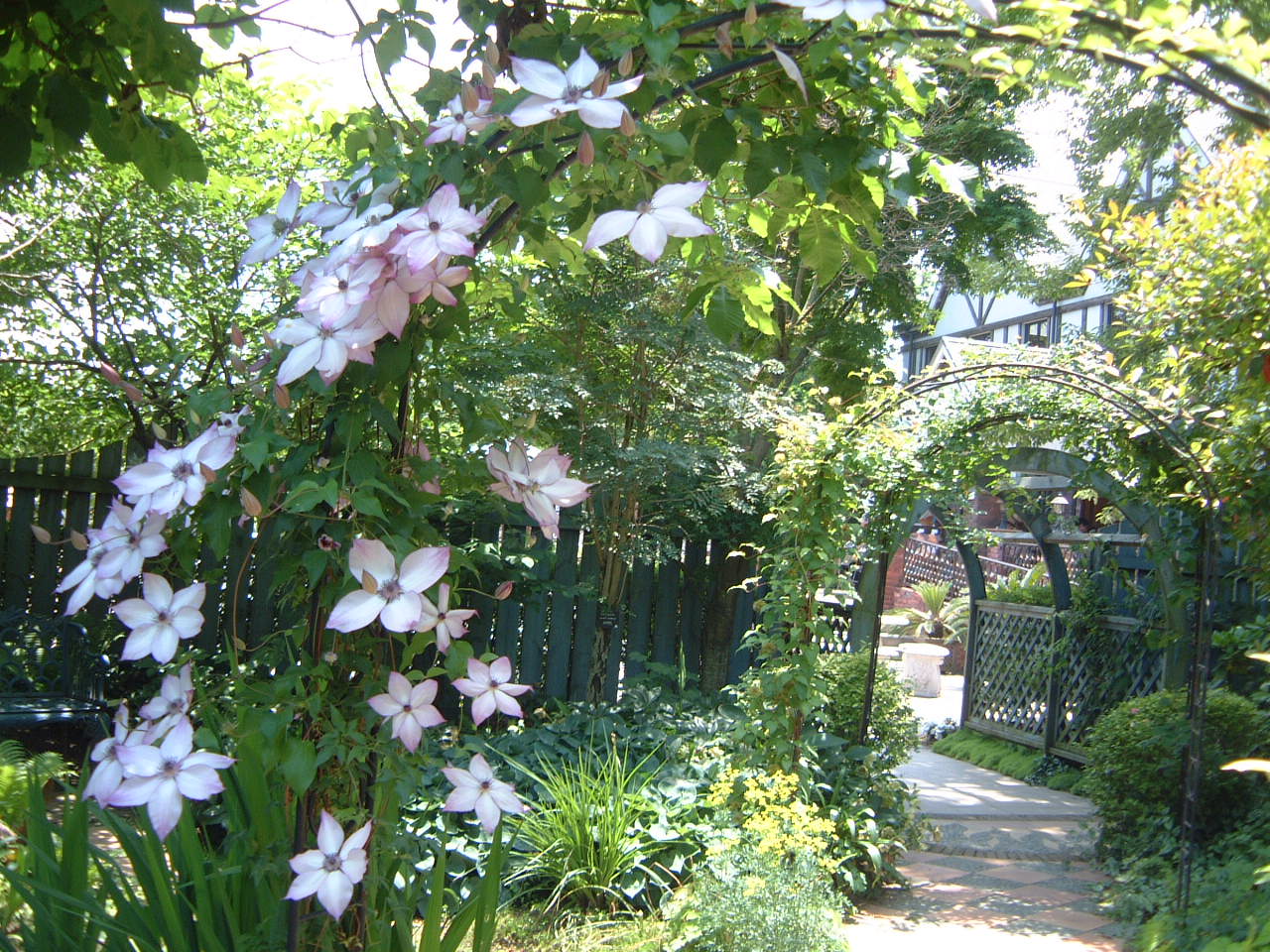 d0158780_165461.jpg
