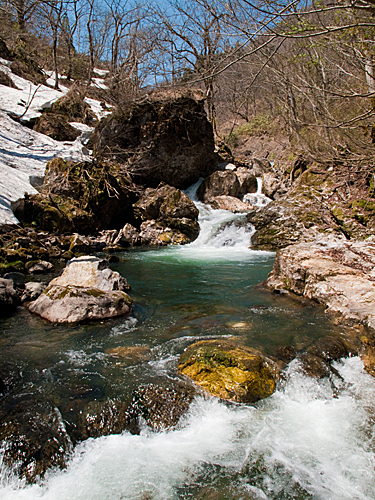 c0203681_15545779.jpg