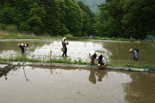 c0152883_204899.jpg