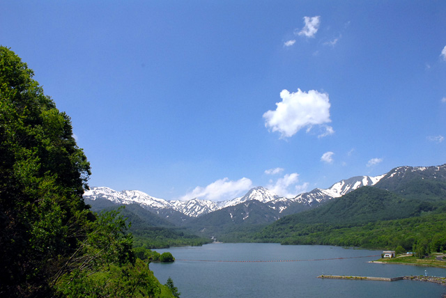 d0085887_23452387.jpg