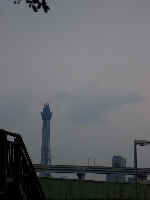 ＃２０　新東京タワー_c0179088_1816482.jpg