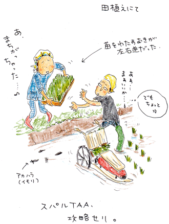 f0236291_64408.gif
