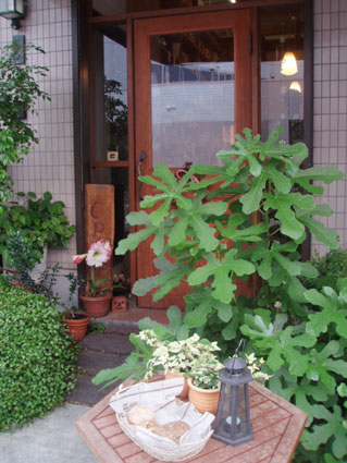 d0071596_10561710.jpg