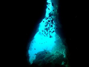 f0079996_12182079.jpg