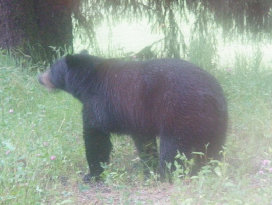 d0145899_110476.jpg