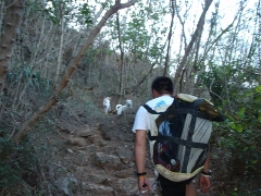 e0023100_16443981.jpg