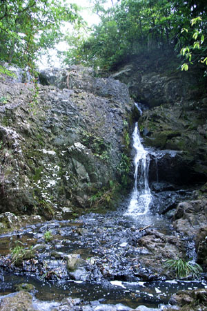 d0090101_19381886.jpg