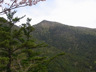 アポイ岳_f0157901_2133795.jpg