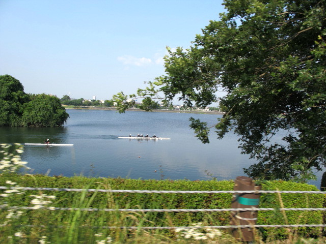 c0036203_19224010.jpg