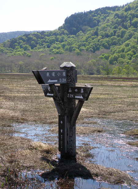 尾瀬 水芭蕉を訪ねて３（尾瀬ヶ原三又～下ノ大堀川）_f0180607_050037.jpg