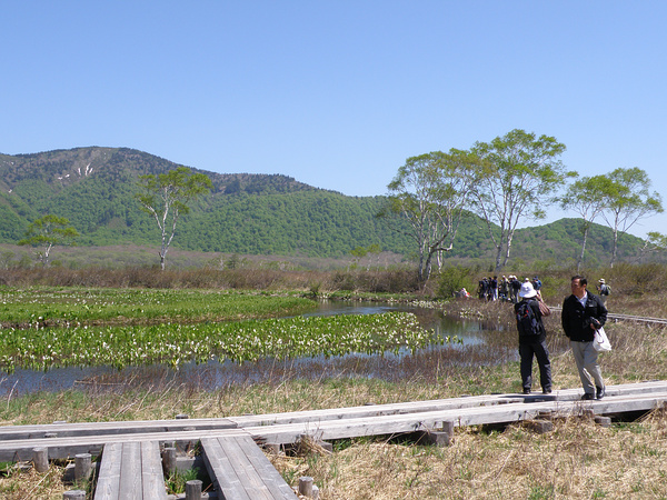 尾瀬 水芭蕉を訪ねて３（尾瀬ヶ原三又～下ノ大堀川）_f0180607_0522312.jpg