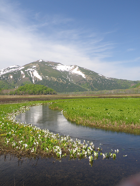 尾瀬 水芭蕉を訪ねて３（尾瀬ヶ原三又～下ノ大堀川）_f0180607_0525563.jpg