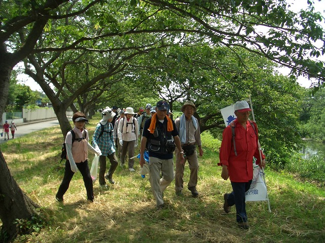 「アルコロジーin東静(富士)」と沼川、滝川、田宿川_f0141310_23332846.jpg
