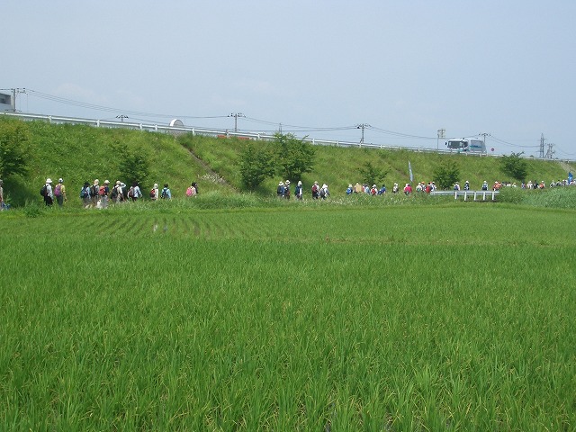 「アルコロジーin東静(富士)」と沼川、滝川、田宿川_f0141310_2334574.jpg