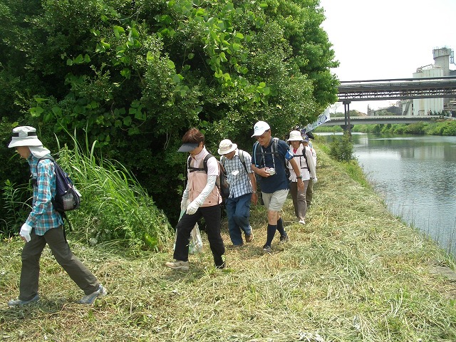 「アルコロジーin東静(富士)」と沼川、滝川、田宿川_f0141310_2337306.jpg