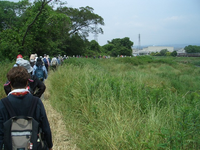 「アルコロジーin東静(富士)」と沼川、滝川、田宿川_f0141310_23412043.jpg