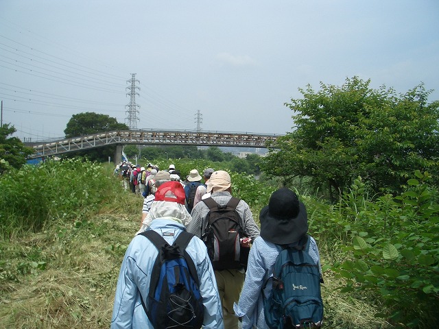 「アルコロジーin東静(富士)」と沼川、滝川、田宿川_f0141310_2341726.jpg
