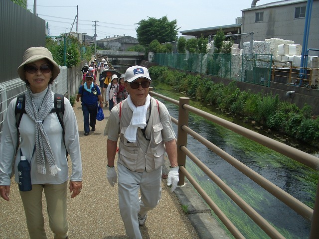 「アルコロジーin東静(富士)」と沼川、滝川、田宿川_f0141310_23425196.jpg