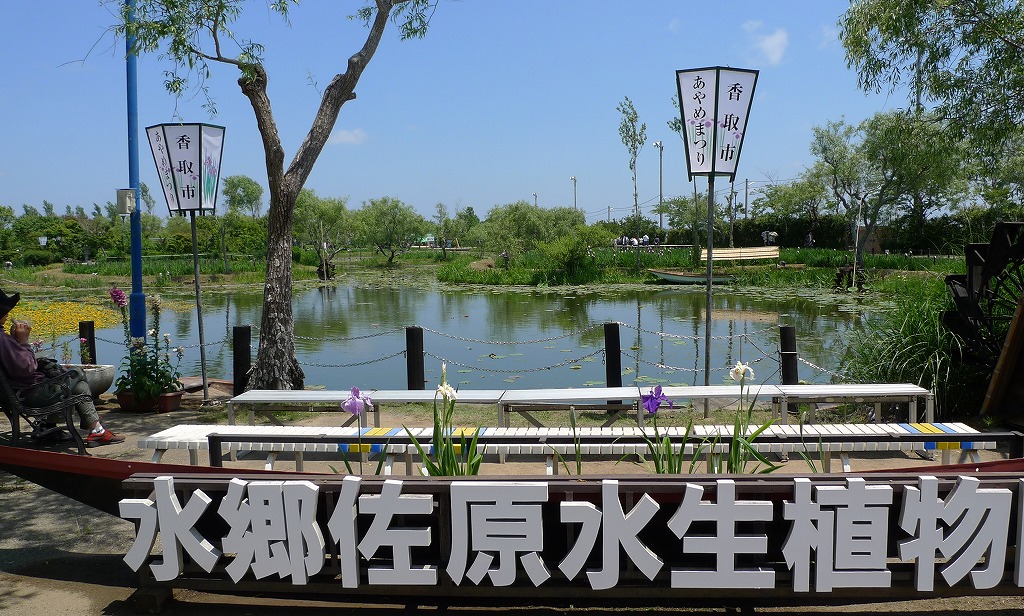 水郷佐原水生植物園_a0159414_12405068.jpg