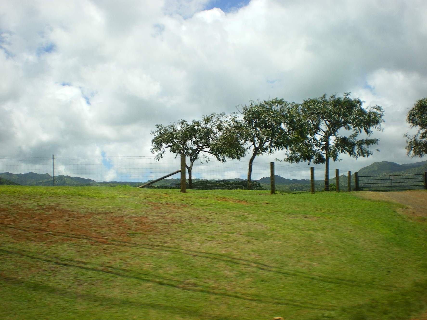 Kaua\'i island♪_f0236314_22503376.jpg