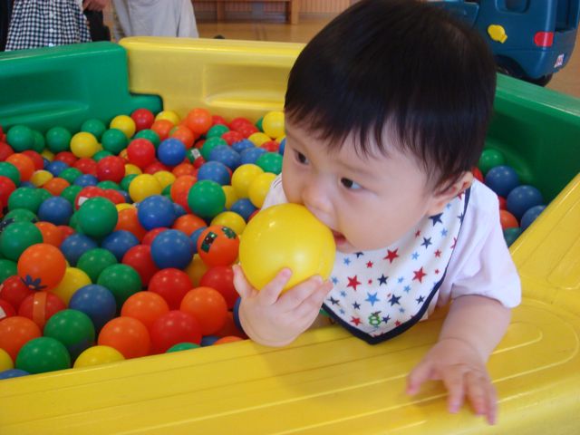 a0151615_23509.jpg