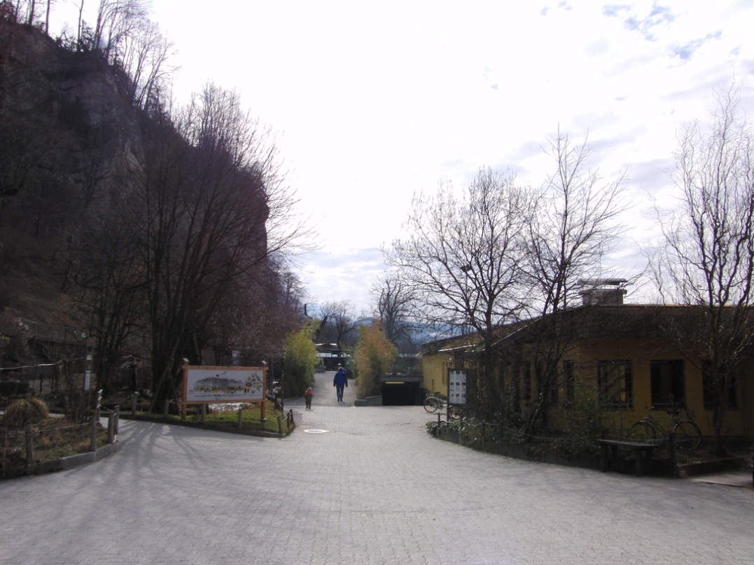 e0163618_23365234.jpg