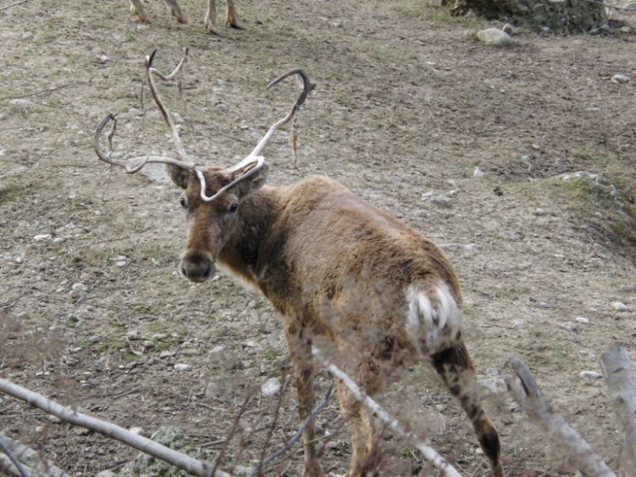 e0163618_23412259.jpg