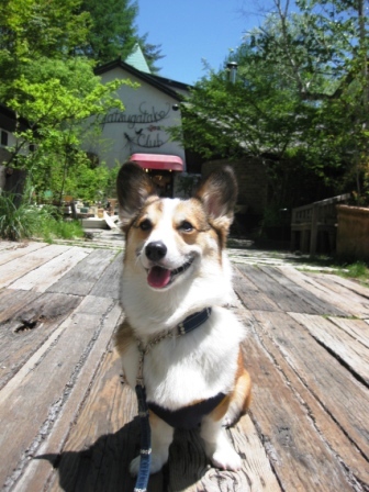 yummy のお姉ちゃんがやって来た～♪　②_f0155118_892126.jpg