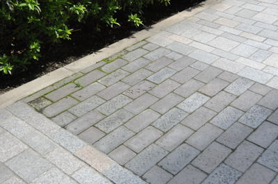 b0187019_23144634.jpg