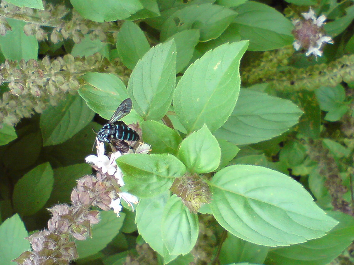 a0111220_23571612.jpg