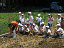 服間小学校4年生の子供達が大豆の種まきをしました_e0061225_14262376.jpg