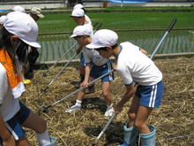 服間小学校4年生の子供達が大豆の種まきをしました_e0061225_14342755.jpg
